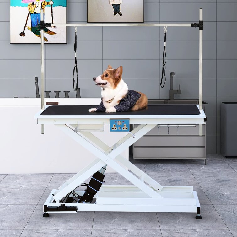 Electric dog best sale grooming table